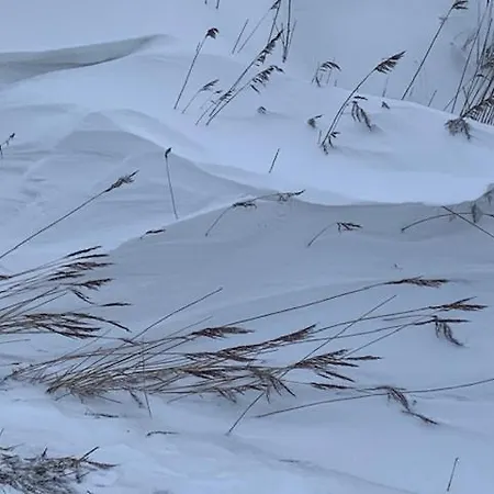 Apartment Gulfhof Polder72 Polder72 5 Eger *